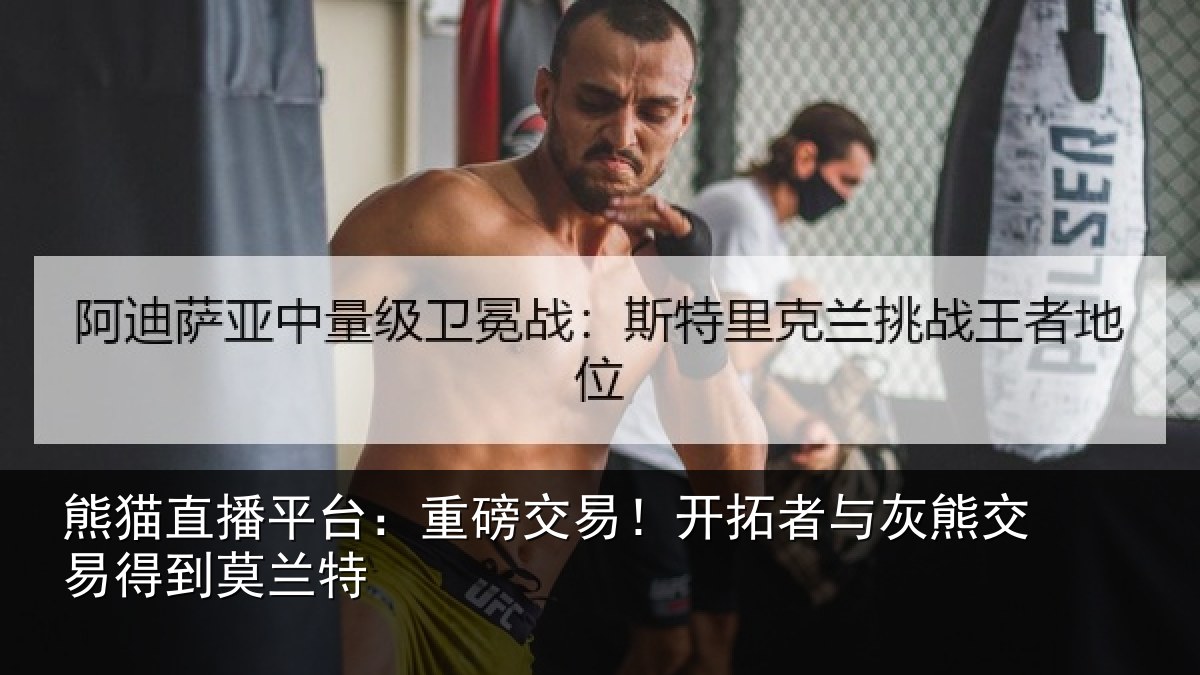 熊猫直播平台:重磅相关情况交易得到莫兰特
