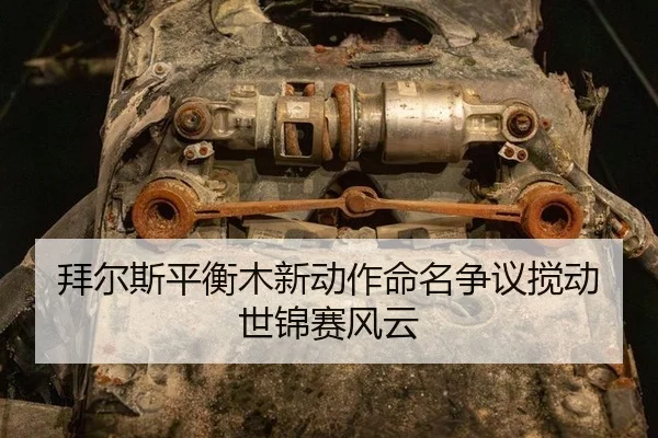bai-er-si-ping-heng-mu-xin-dong-zuo-ming-ming-zheng-yi-jiao-dong-shi-jin-sai-feng-yun-2-980.jpg