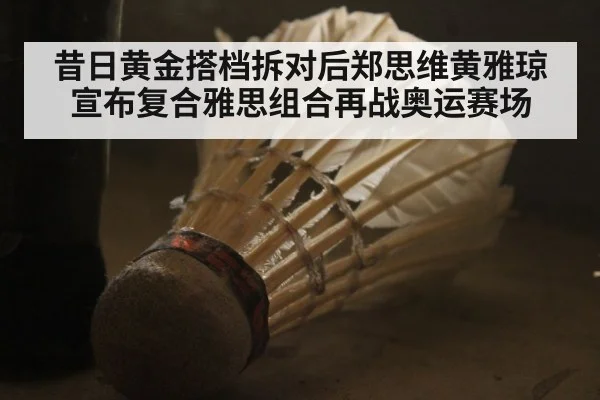 昔日黄金搭档拆对后郑思维黄雅琼宣布复合雅思组合再战奥运赛场