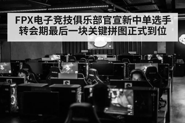 FPX电子竞技俱乐部官宣新中单选手 转会期最后一块关键拼图正式到位